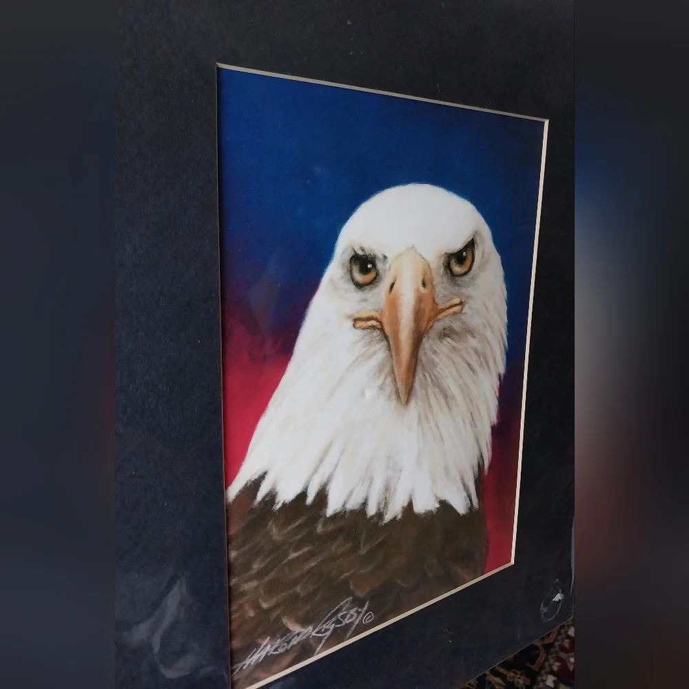 Bald Eagle print - Picture 4 of 15